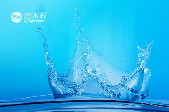推广做竞价还是SEO好？长沙蒲公英网络告诉你怎么选
